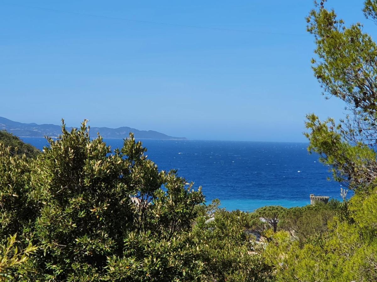 Les Gites Du Cap Corse Nonza Exterior photo