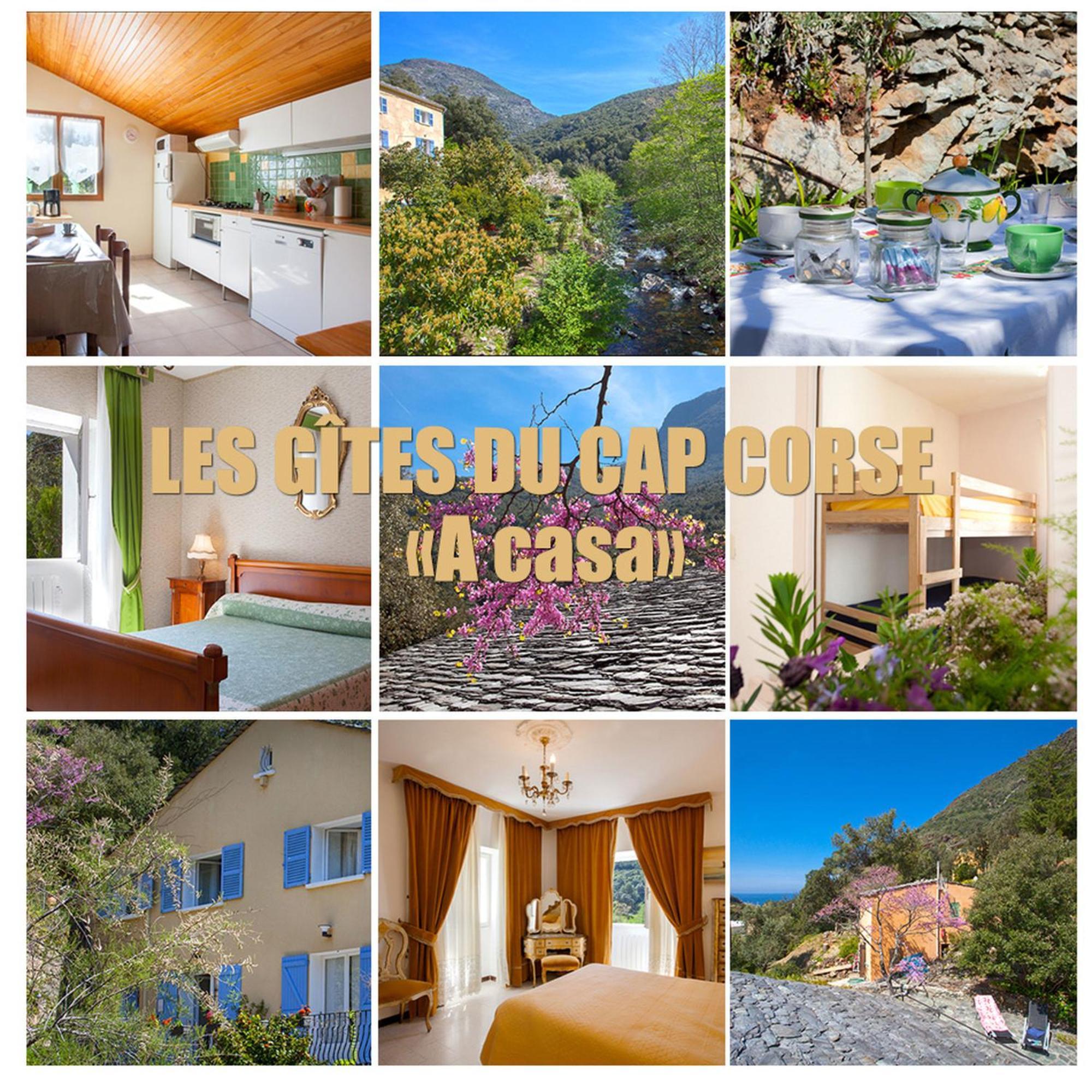 Les Gites Du Cap Corse Nonza Exterior photo