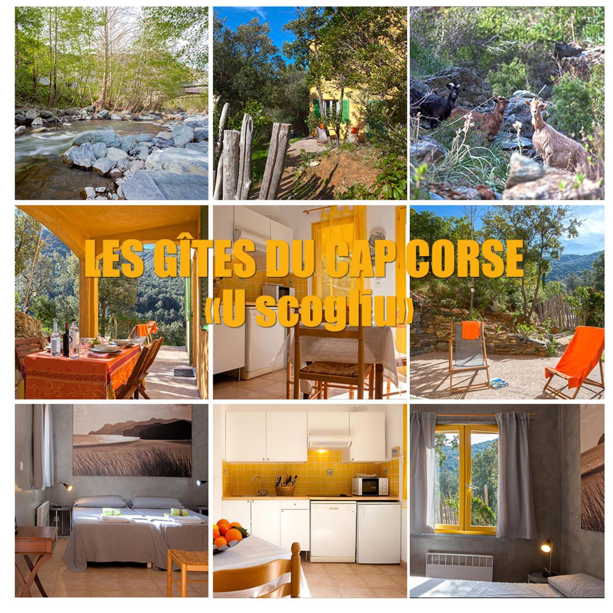 Les Gites Du Cap Corse Nonza Exterior photo