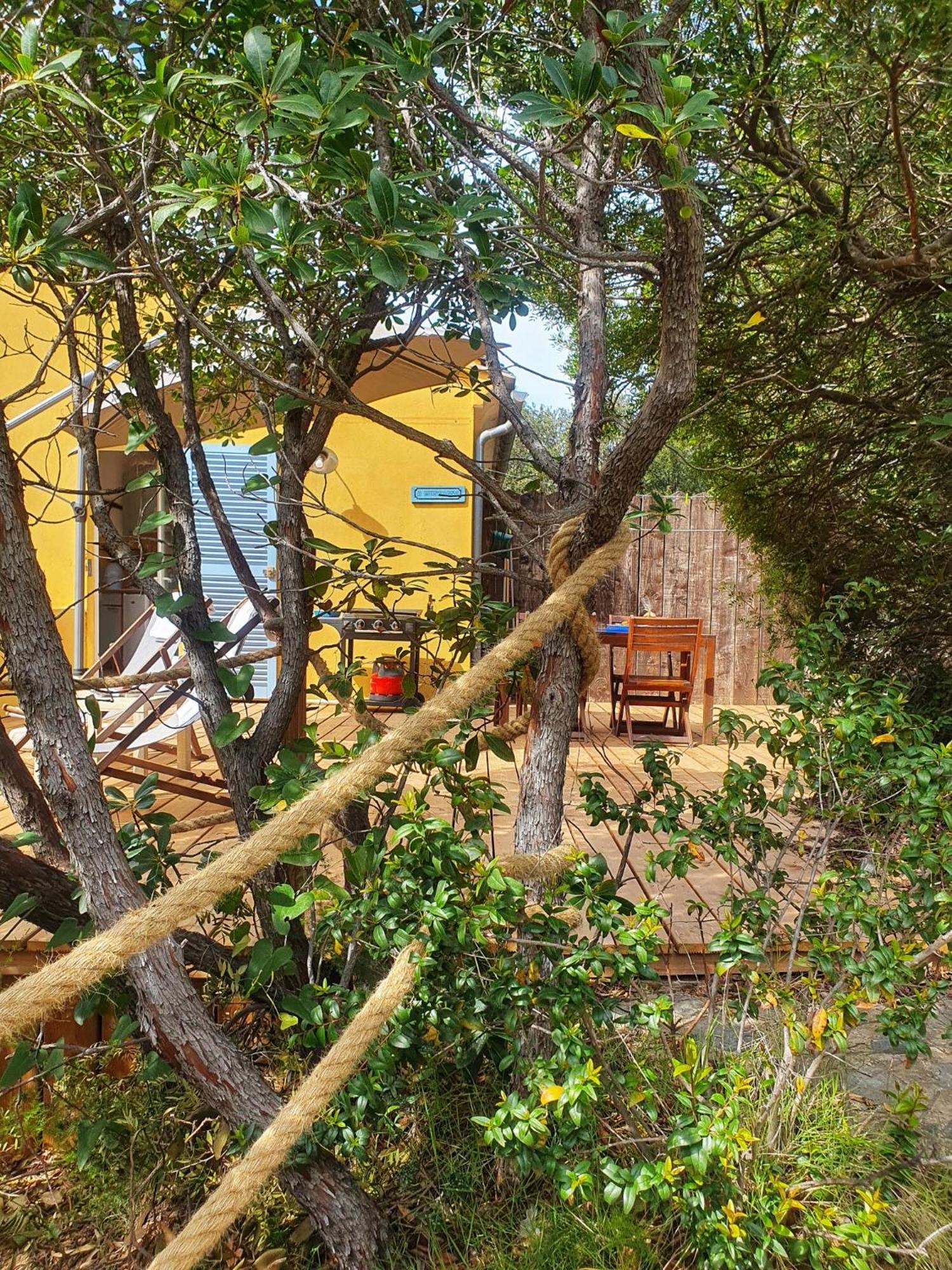 Les Gites Du Cap Corse Nonza Exterior photo