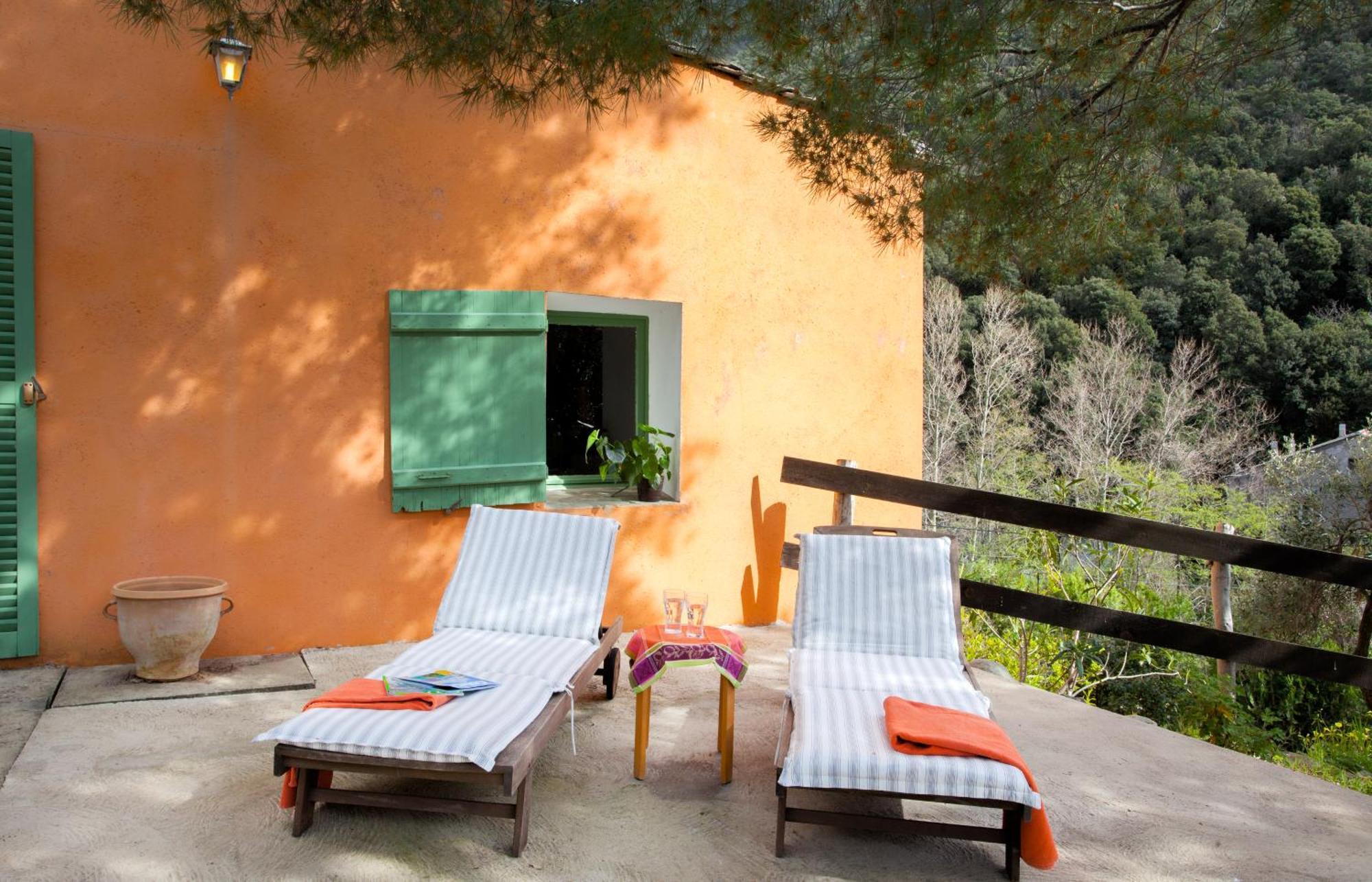 Les Gites Du Cap Corse Nonza Room photo
