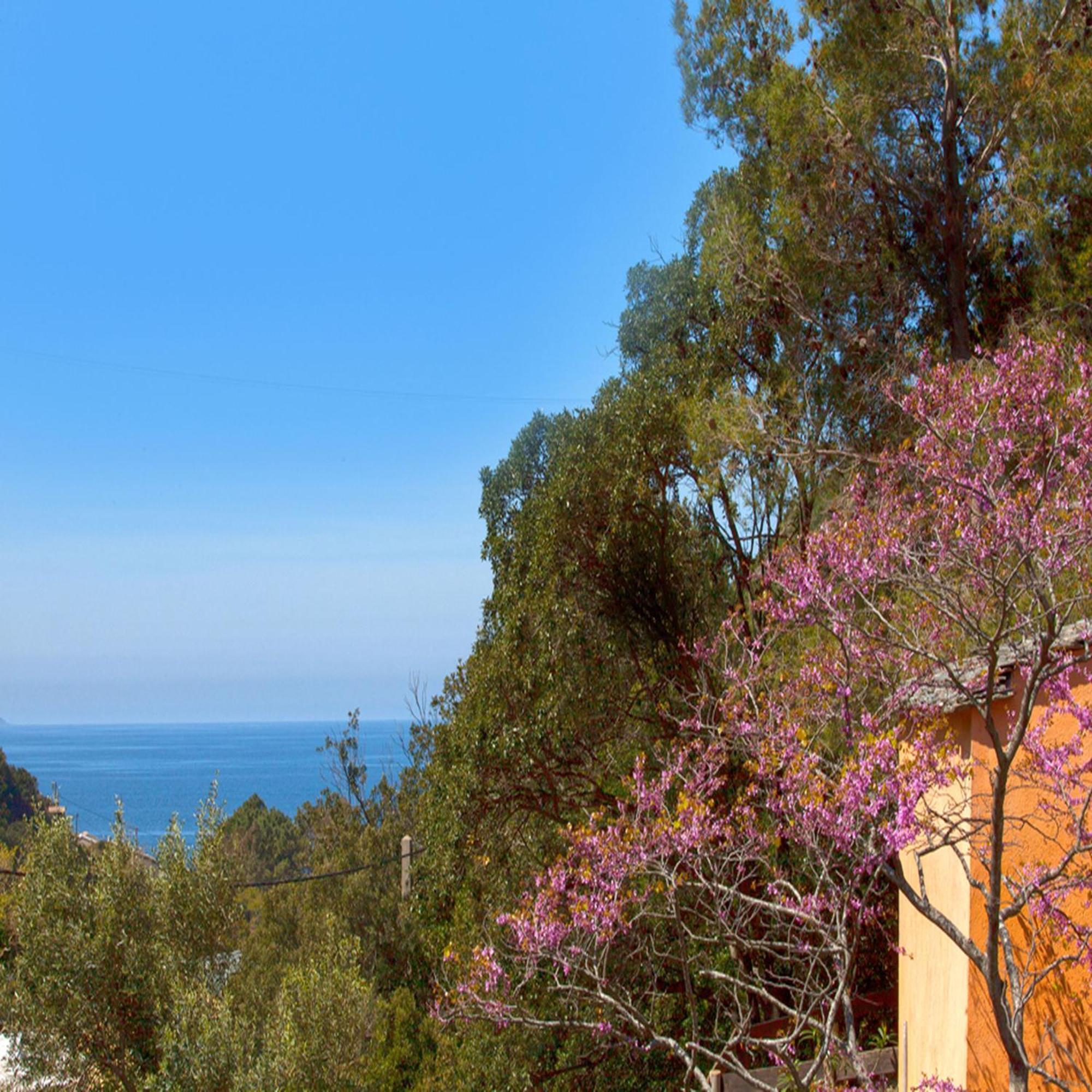 Les Gites Du Cap Corse Nonza Room photo