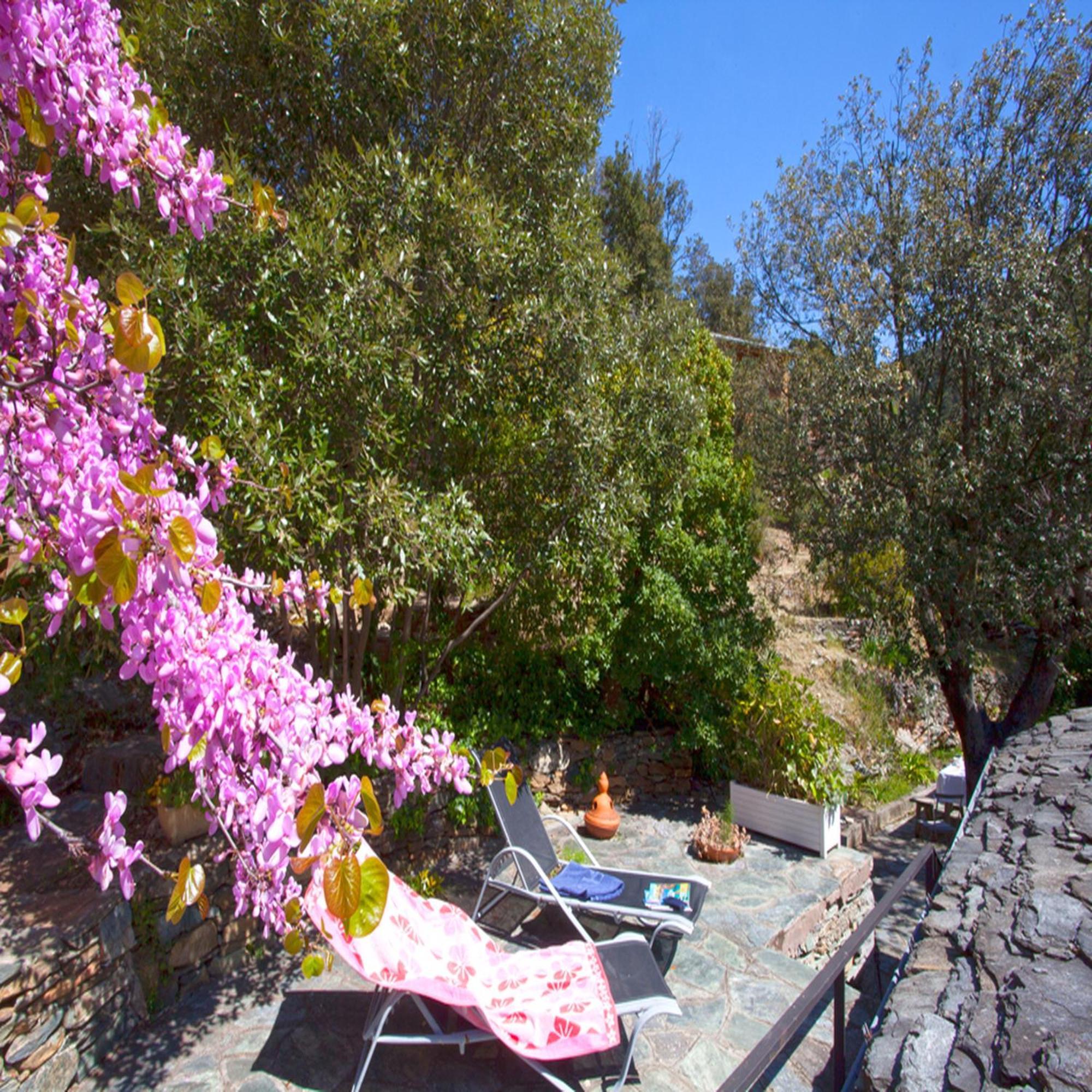 Les Gites Du Cap Corse Nonza Room photo