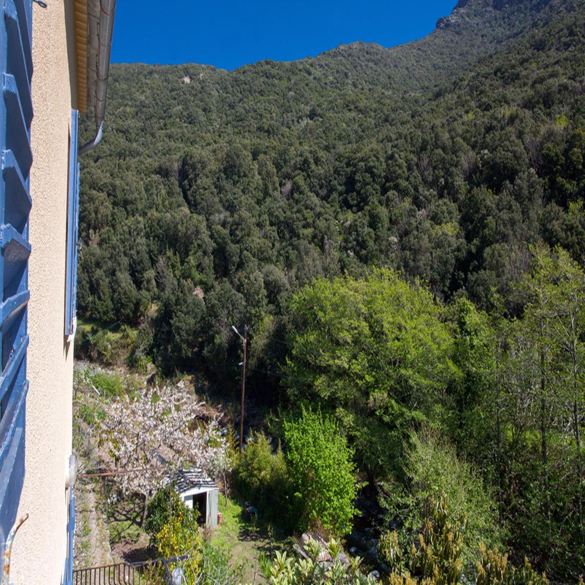 Les Gites Du Cap Corse Nonza Room photo