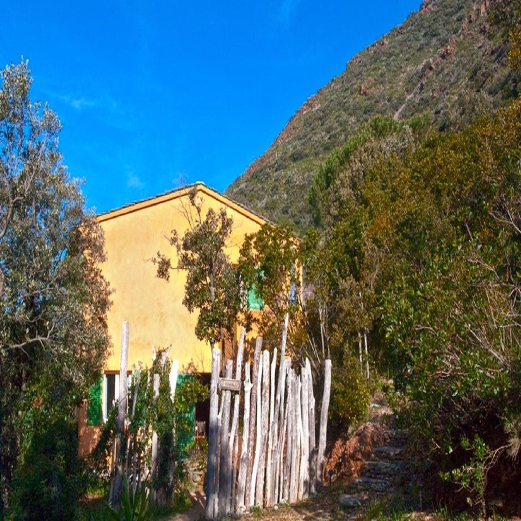 Les Gites Du Cap Corse Nonza Room photo