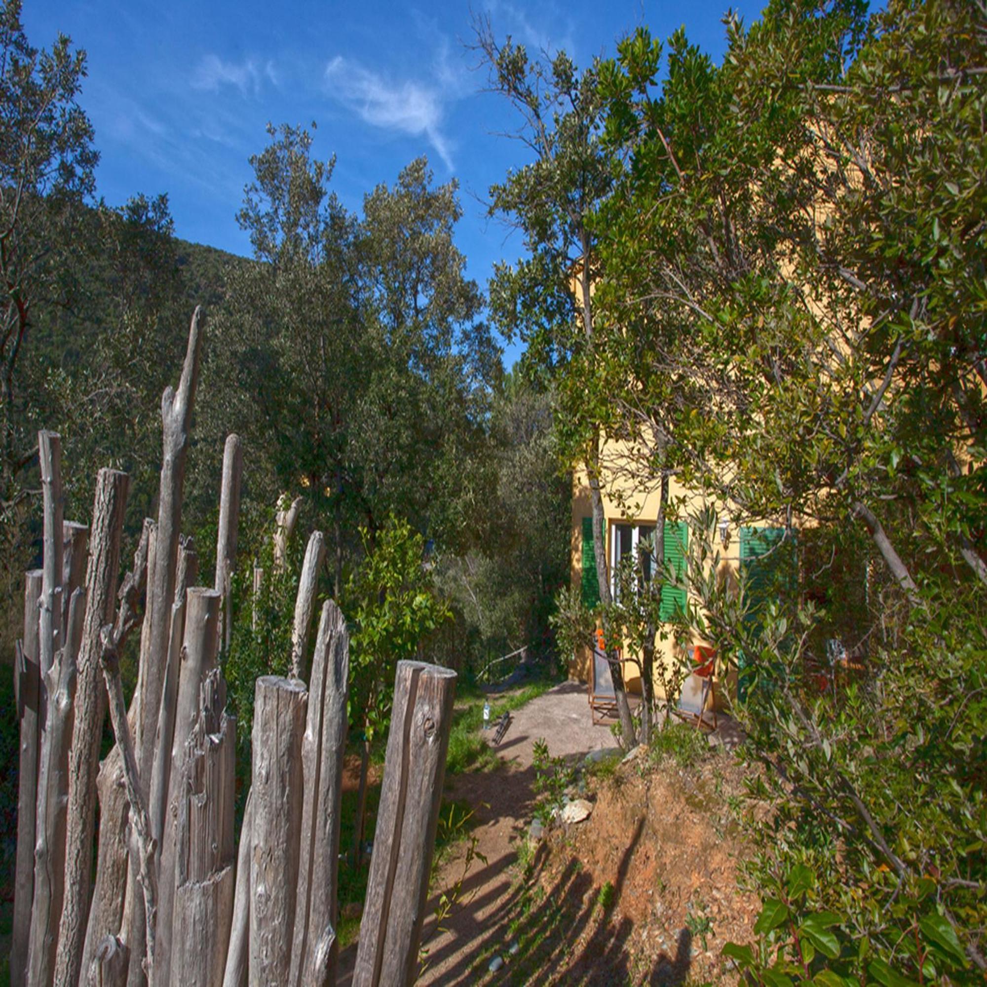 Les Gites Du Cap Corse Nonza Room photo